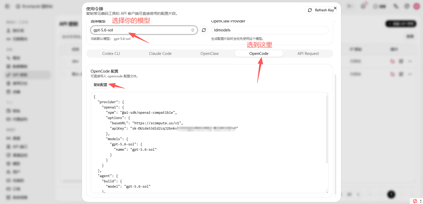 TokenFlash 使用令牌窗口中的 OpenCode 配置